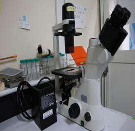 倒立螢光相位差顯微鏡3