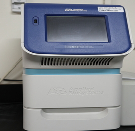 qPCR1